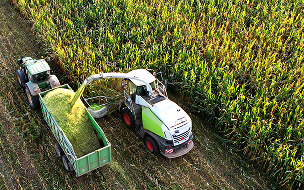 The Capita Corporation